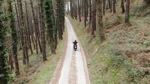 Following a Motorcycle on a Forest Road Stock Footage
