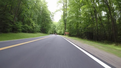 Following Motorcycles Through Forest Video stock 115097771