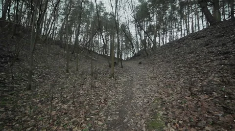 Following a path inside of a gloomy ravine. Flycam Stock Footage 46448593
