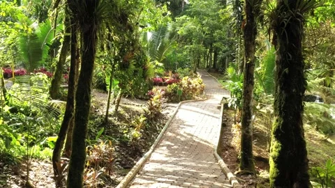 Following a a paved pedestrian path or walkaway at a sunny day Stock Footage 142759047
