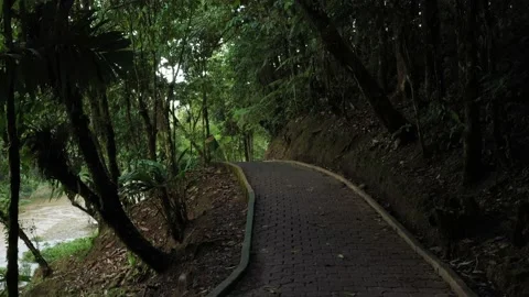 Following a paved pedestrian path surrounded by trees Stock Footage 142759125