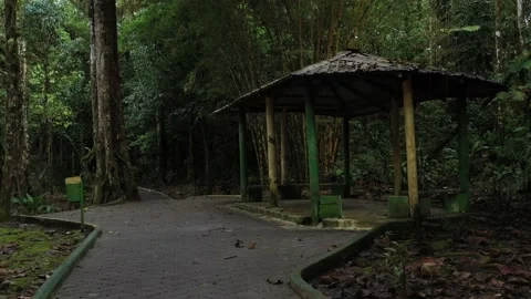 Following a pedestrian path alongside a resting place with benches inside a Stock Footage 142748495