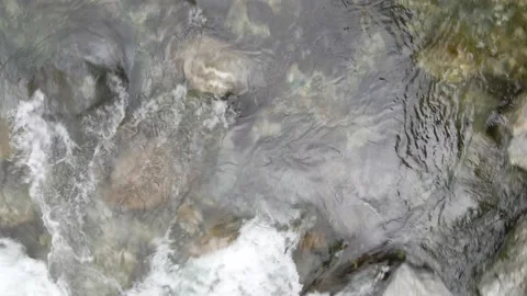 Following river flow Stock Footage 137944504