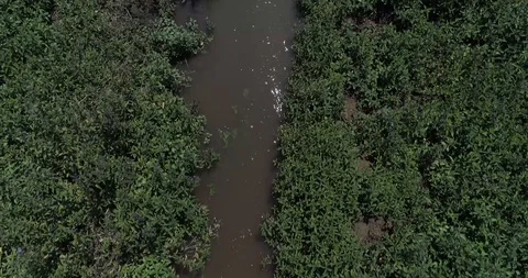 Following the river's current Stock Footage 124858083