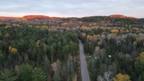 Following the road surrounded by dense forest Stock Footage 141456657