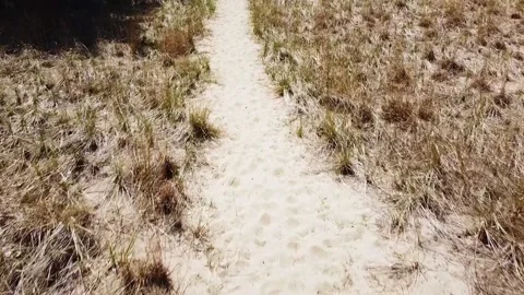 Following Sand Path 2 스톡 동영상 194955029