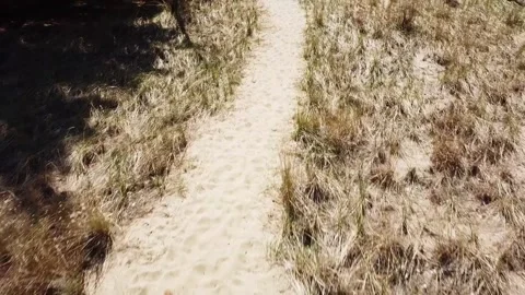 Following Sand Path 스톡 동영상 194954919