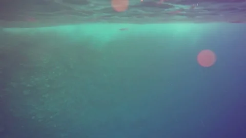 Following A School Of Fish Through Surf In A Tropical Blue Ocean 스톡 동영상 83106698