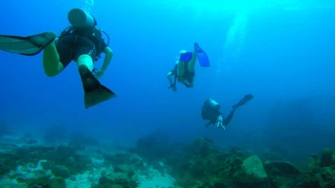 Following a set of divers above bleached coral Stock Footage 97941314
