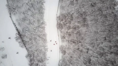 Following skiiers down run snow slope Video stock 73421959