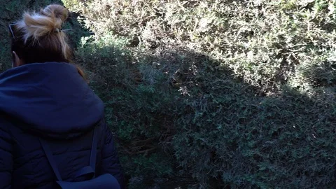 Following through the maze Stock Footage 85941780