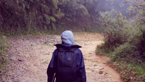 Following to tourist girl with backpack that walking along tropical forest Stock Footage