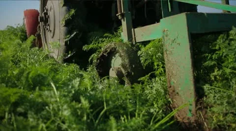 Following Tractor Stock-Footage 22304477