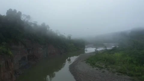 Following a tropical stream with high cliffs at the sides on a cloudy morning Stock Footage 142760600