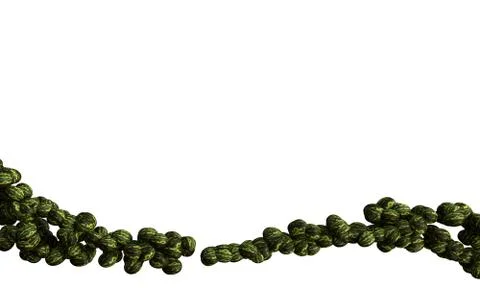 Following Vatermelon White Backround Stock Illustration