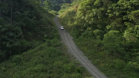 Following a white car that is going down a bad dirt road in the rainforest Vidéo 142747608