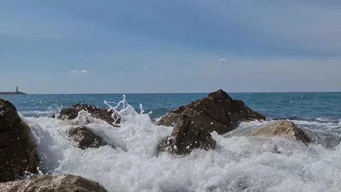 Folny on the background of the lighthouse Stock Footage 183813569