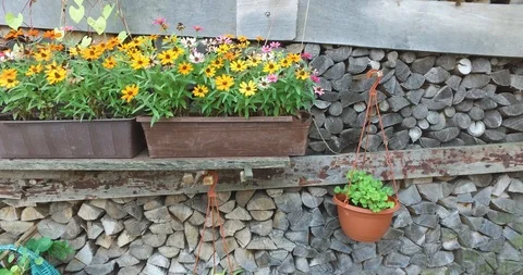 Folwers in rustic background Stock Footage 120380873