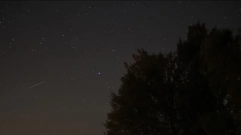 Fomalhaut moving through the sky, tree in foreground with passing lights Video stock 42105515