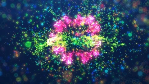 FON 1 Stock Footage 122623352