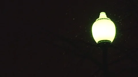 Fonar 2 Stock Footage 100868709