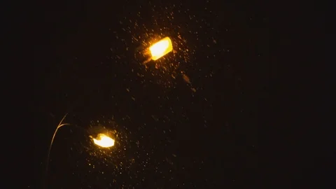 Fonari Vídeos de archivo 100868707