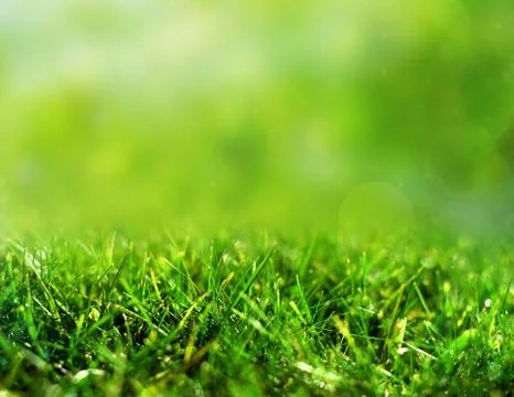 Fond herbe Stock Photos