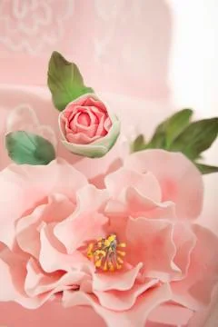 Fondant cake Stock Photos