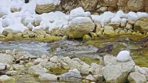 The Fondillo stream flows between the snow and the banks eroded by the water Video stock 146231731