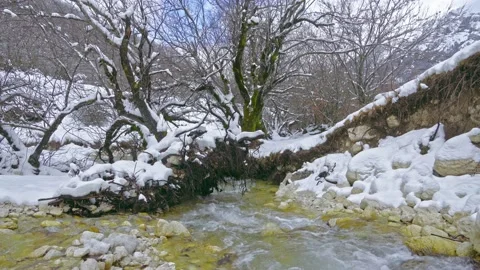 The Fondillo stream flows between the snow and the banks eroded by the water Video stock 146232321