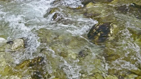 The Fondillo stream flows between the snow and the banks eroded by the water Video stock 146232628