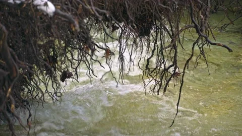 The Fondillo stream flows between the snow and the banks eroded by the water Stock Footage 146233786