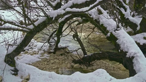 The Fondillo stream flows between the snow and the banks eroded by the water Video stock 146234408