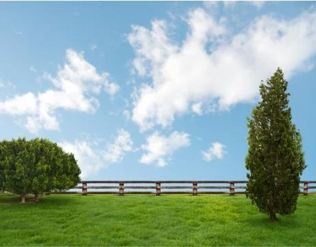 Fondo nature Stock Photos