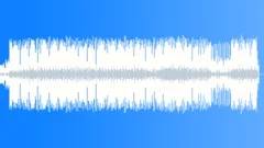 Fonky Monkey Stock Music