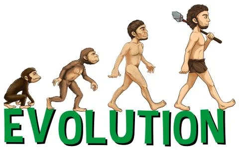 Font design with word evolution Ilustración de archivo