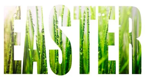Font ,EASTER, green Gras, Spring bokeh lights Stock Photos