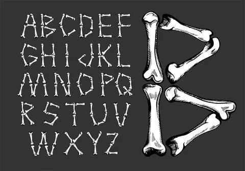 Font from hand drawn bones. Vector illustration. Illustrazione stock