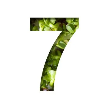 Font on micro greenery.The digit seven, 7 cut out of paper on the background  Stock Illustration
