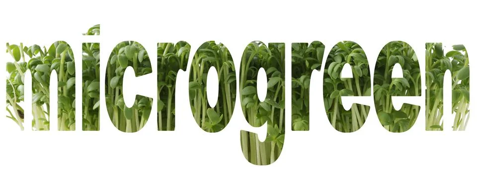 Font with transparency Microgreens Stock-Illustration