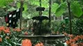 Font in a tropic garden 20110422 135617 HD Footage