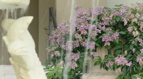 Fontaine Stock Footage 22341531