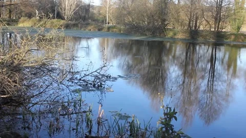 Fontminha lagoon the source of Minho river in Meira, Galicia Видео 332358471