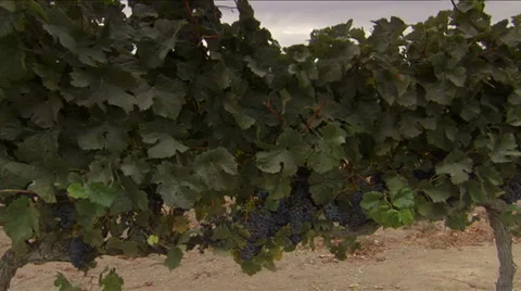 FOO-0002 Jib of Tractor in Farm 2 Video stock 1483093