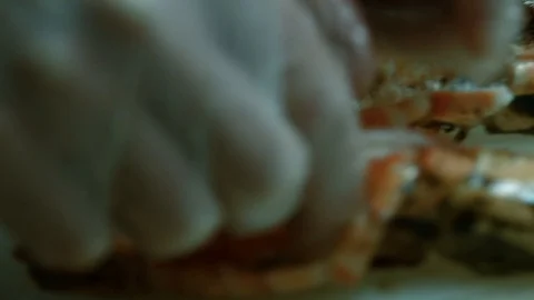 Food 45 스톡 동영상 86510346