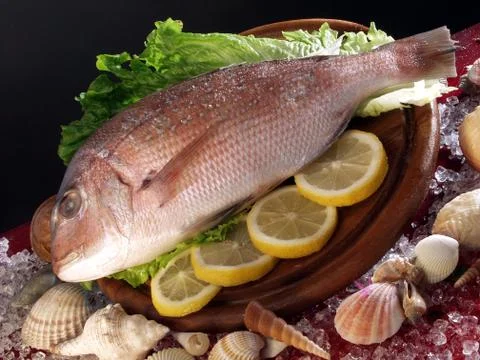 Food and Drink Stock Photos