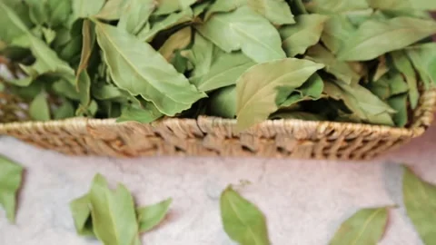 Food background. Bay leaf. Herbal medicine. Mediterranean spice. Stock Footage 164848731