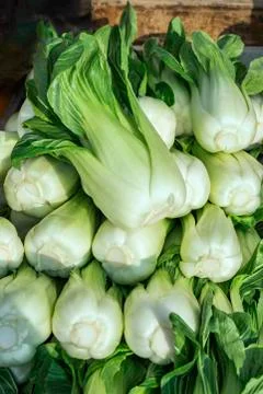 Food background of Chinese cabbage Bok choy at sunny morning market in spain. Stock Photos