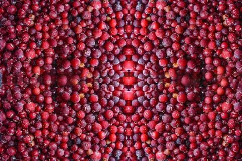Food background, texture of assorted fresh berries Stock Photos