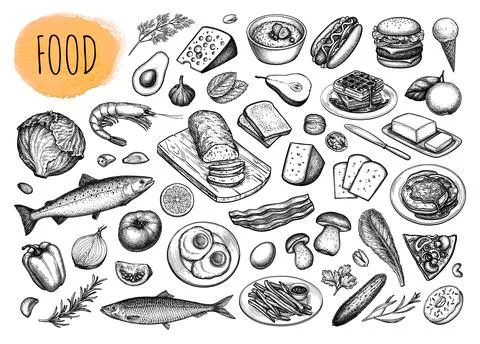 Food big set. Illustrazione stock